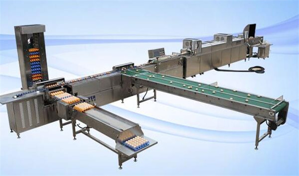 味精廢液專用PE/PP薄膜破碎機清洗干燥生產